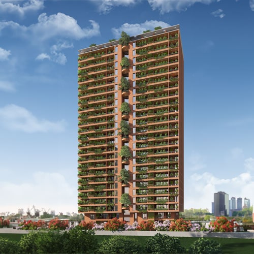 pranav-project-imgprojects